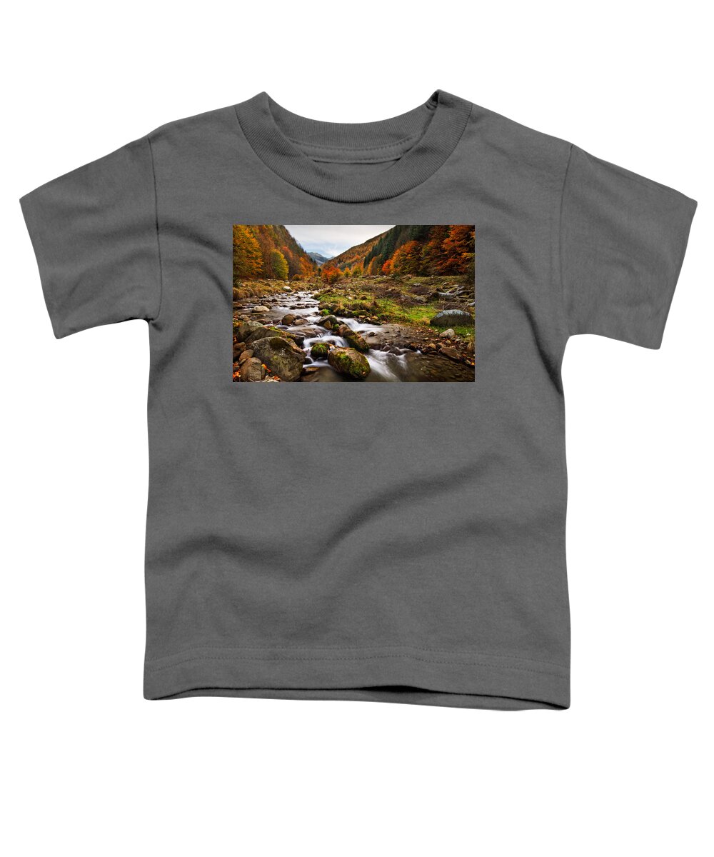 Mountain Toddler T-Shirt featuring the photograph October Tales by Mircea Costina Photography