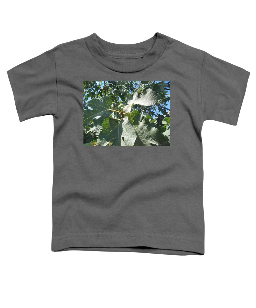 One Fantastic Fig Toddler T-Shirt featuring the photograph One Fantastic Fig by Esther Newman-Cohen