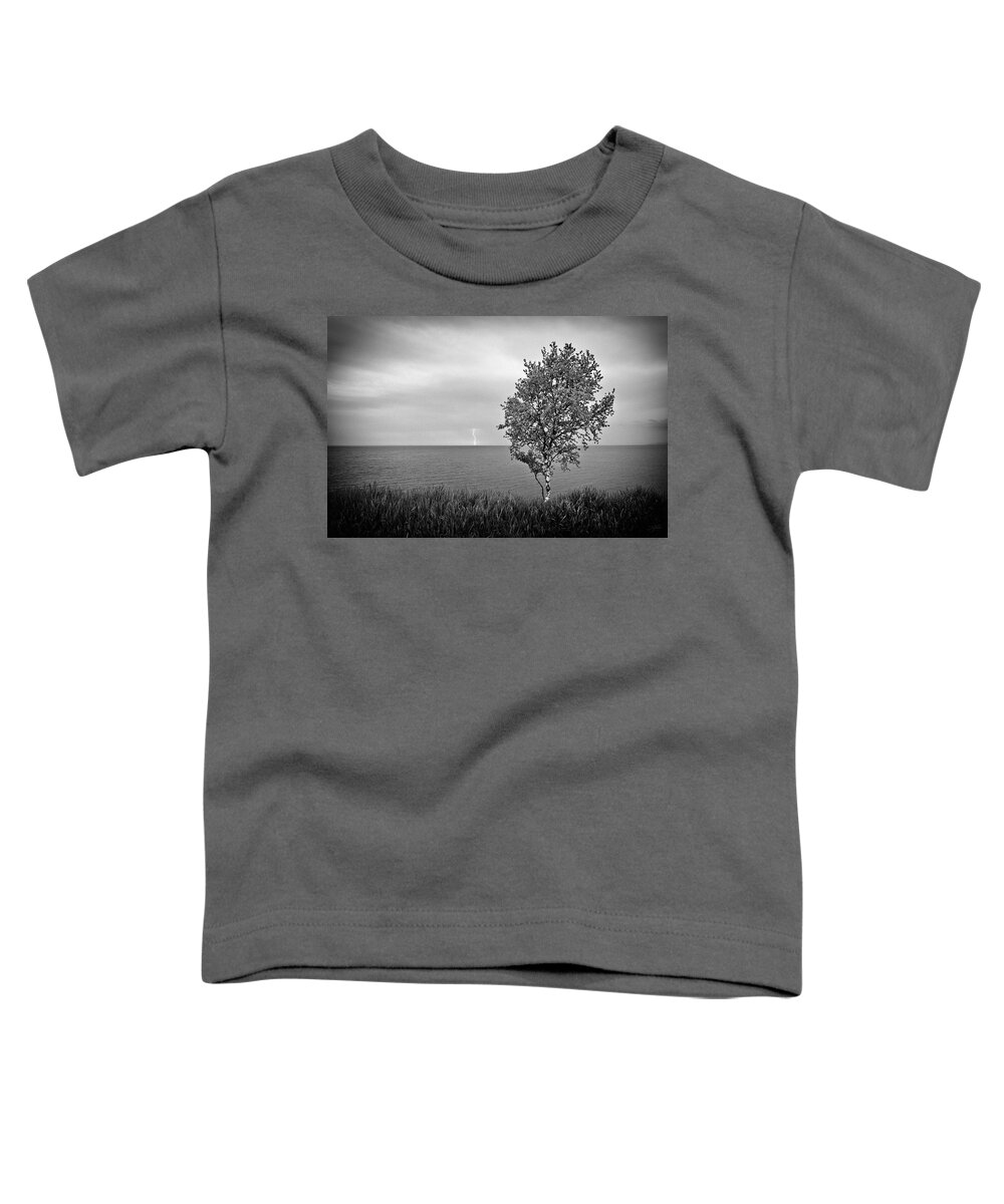 Lake Superior Toddler T-Shirt featuring the photograph One on One by Doug Gibbons