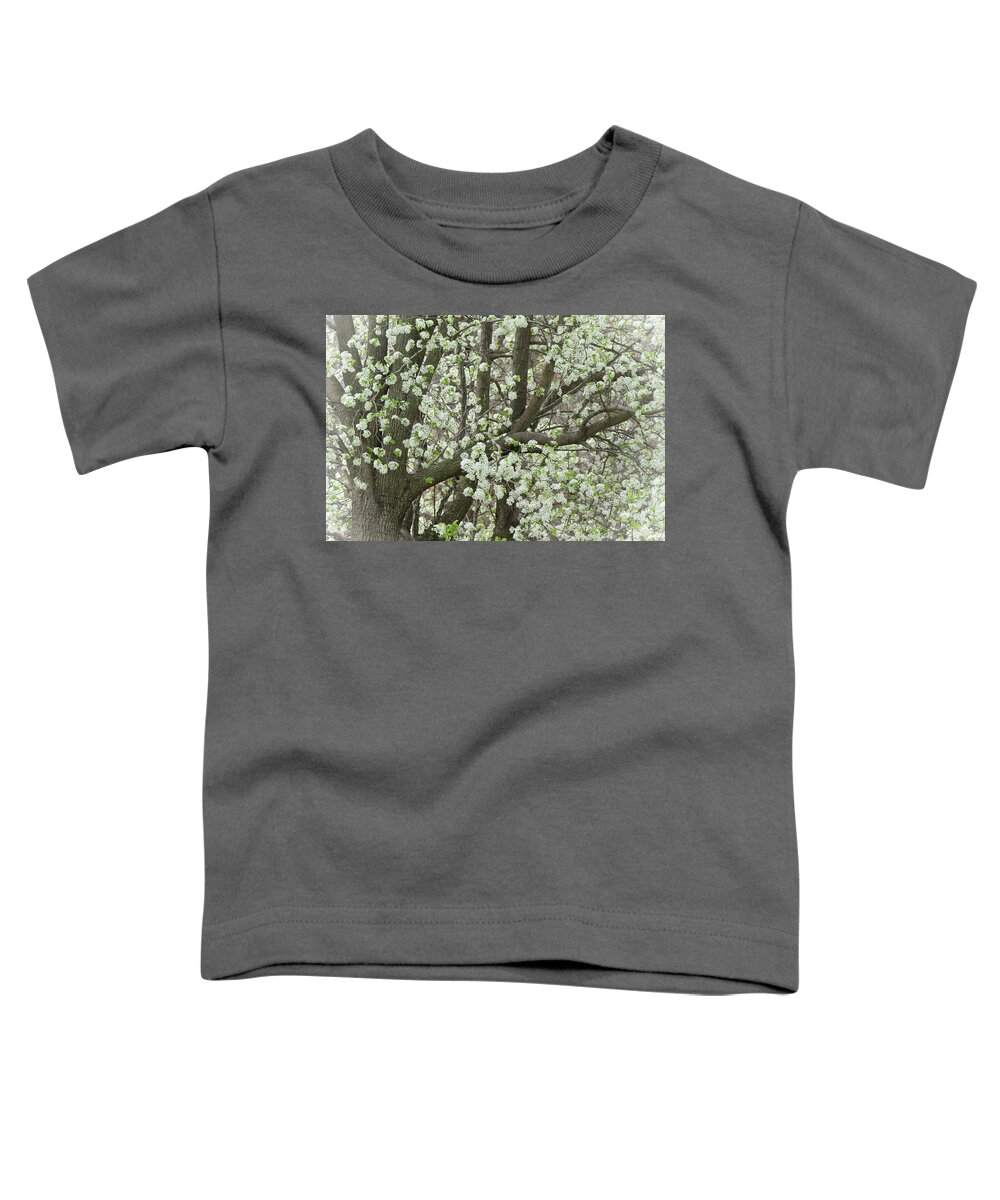 Pear Tree Toddler T-Shirt featuring the photograph Oriental Pear Tree by Bonnie Willis