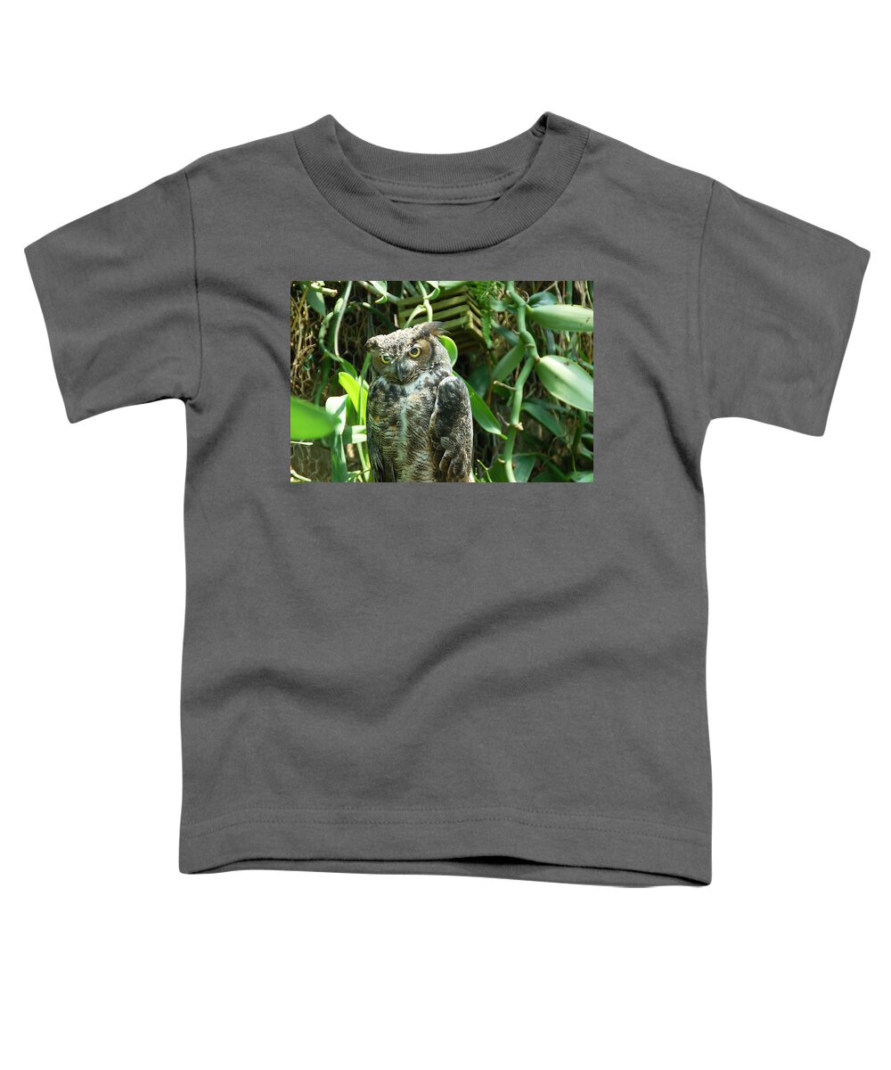 Owl Toddler T-Shirt featuring the photograph Owl Portrait 3 by Aimee L Maher ALM GALLERY