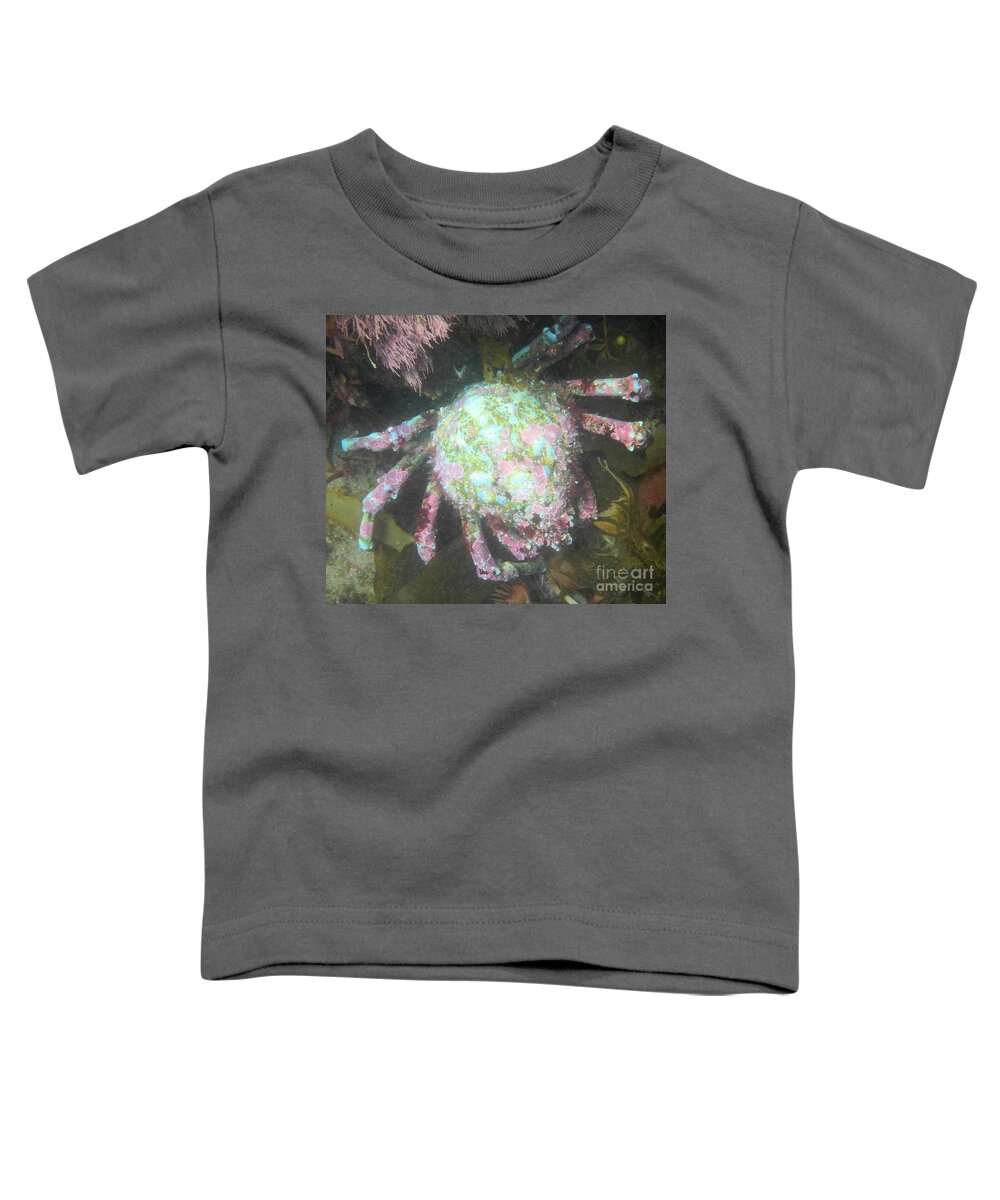 Channel Islands Toddler T-Shirt featuring the photograph Pacific Painted Crab by Adam Jewell