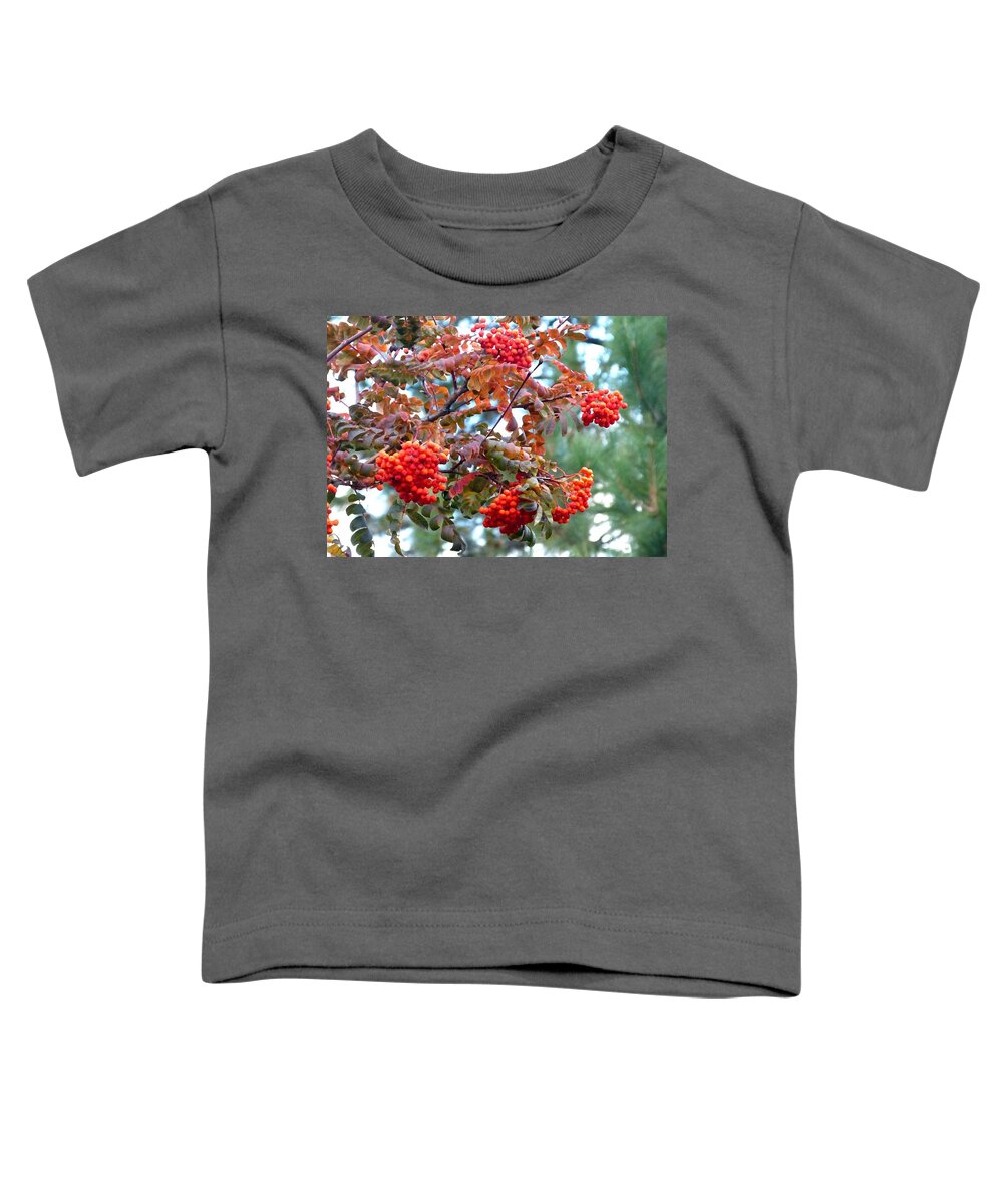 Painted Mountain Ash Berries Toddler T-Shirt featuring the digital art Painted Mountain Ash Berries by Will Borden