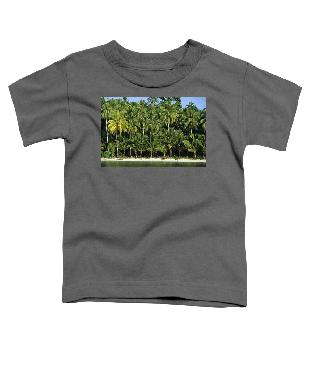 Feb0514 Toddler T-Shirt featuring the photograph Palm Trees Along White Sand Beach Irian by Konrad Wothe