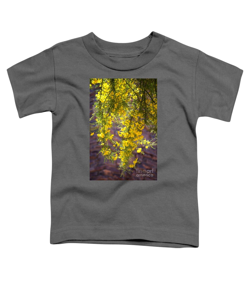 Palo Verde Tree Toddler T-Shirt featuring the photograph Palo Verde Blossoms by Deb Halloran