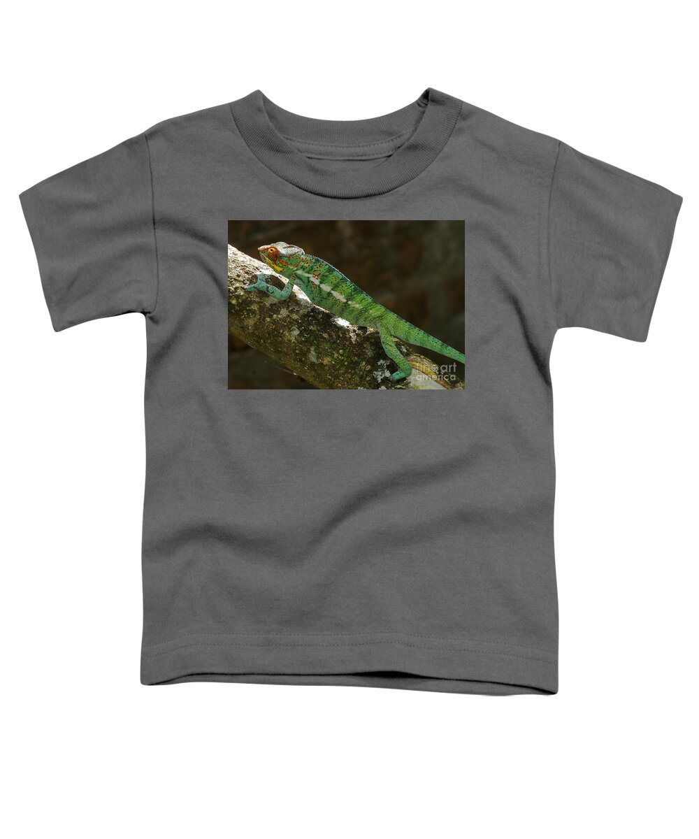 Nature Toddler T-Shirt featuring the photograph panther chameleon from Madagascar 5 by Rudi Prott