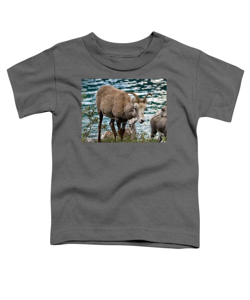Animal Toddler T-Shirt featuring the photograph Part Of The Group by Tara Lynn