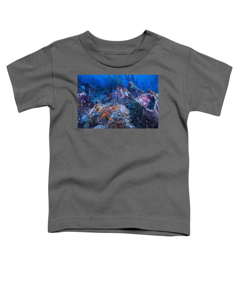 Angle Toddler T-Shirt featuring the photograph Pastels by Sandra Edwards