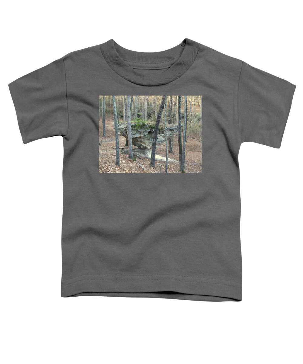 Peach Toddler T-Shirt featuring the photograph Peach Tree Rock-5 by Charles Hite