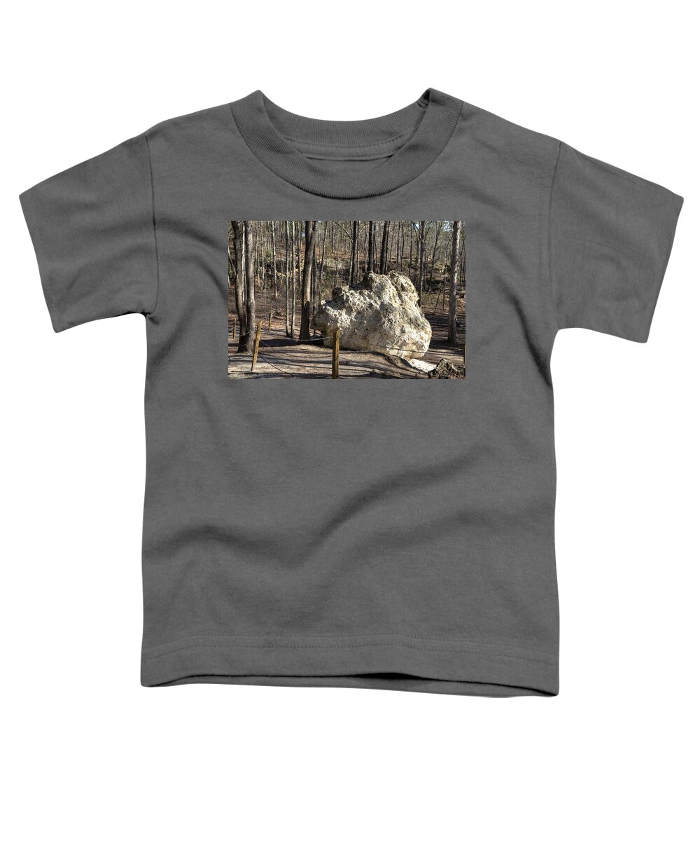 Peach Toddler T-Shirt featuring the photograph Peach Tree Rock-6 by Charles Hite