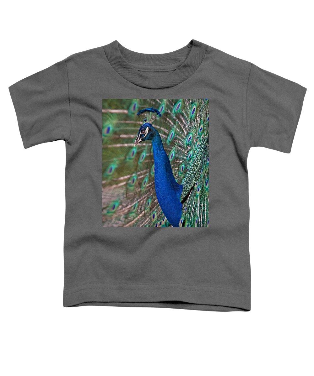 Peacock Toddler T-Shirt featuring the photograph Peacock Display by Susan Candelario