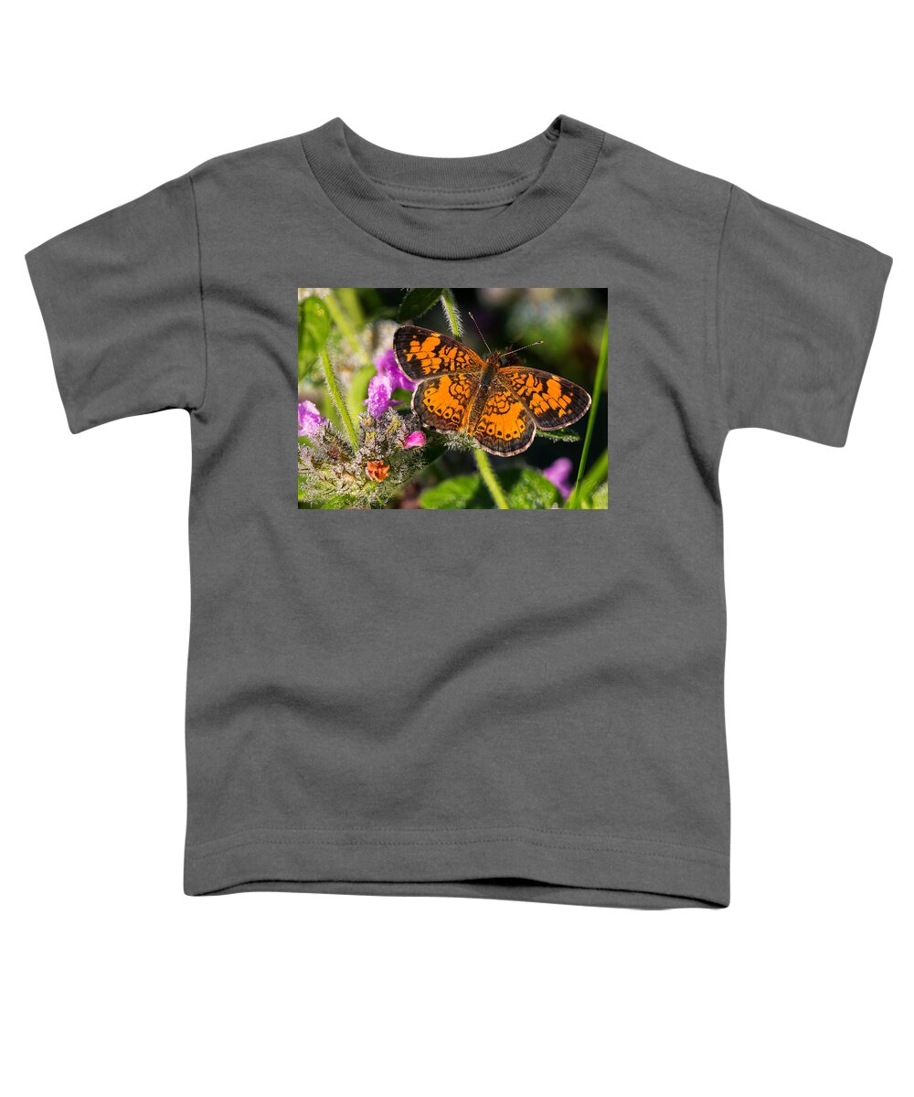 Pearl Crescent Toddler T-Shirt featuring the photograph Pearl Crescent note card by Everet Regal