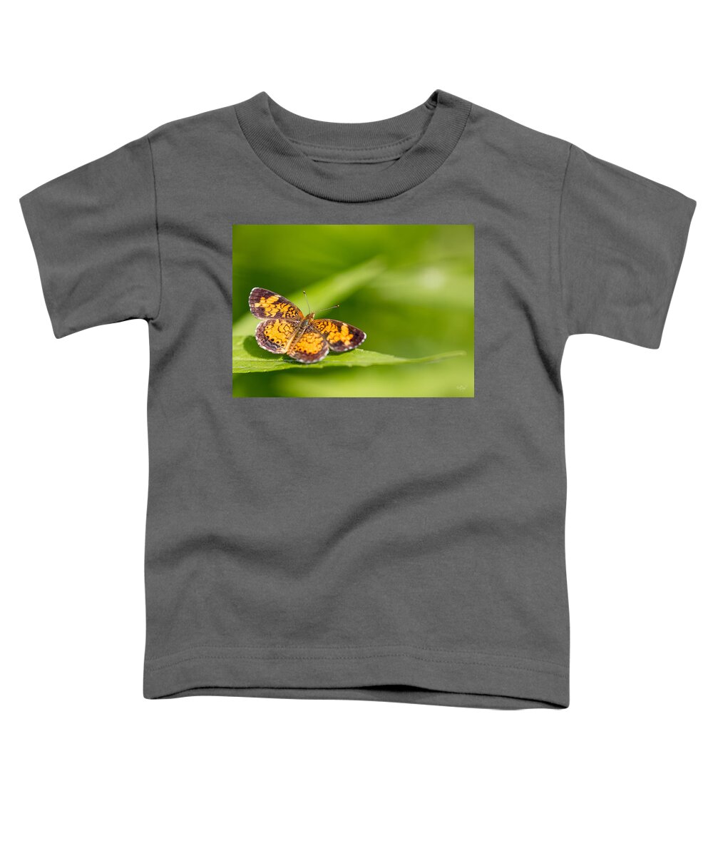 Pearl Crescent Toddler T-Shirt featuring the photograph Pearl Crescent notecard by Everet Regal