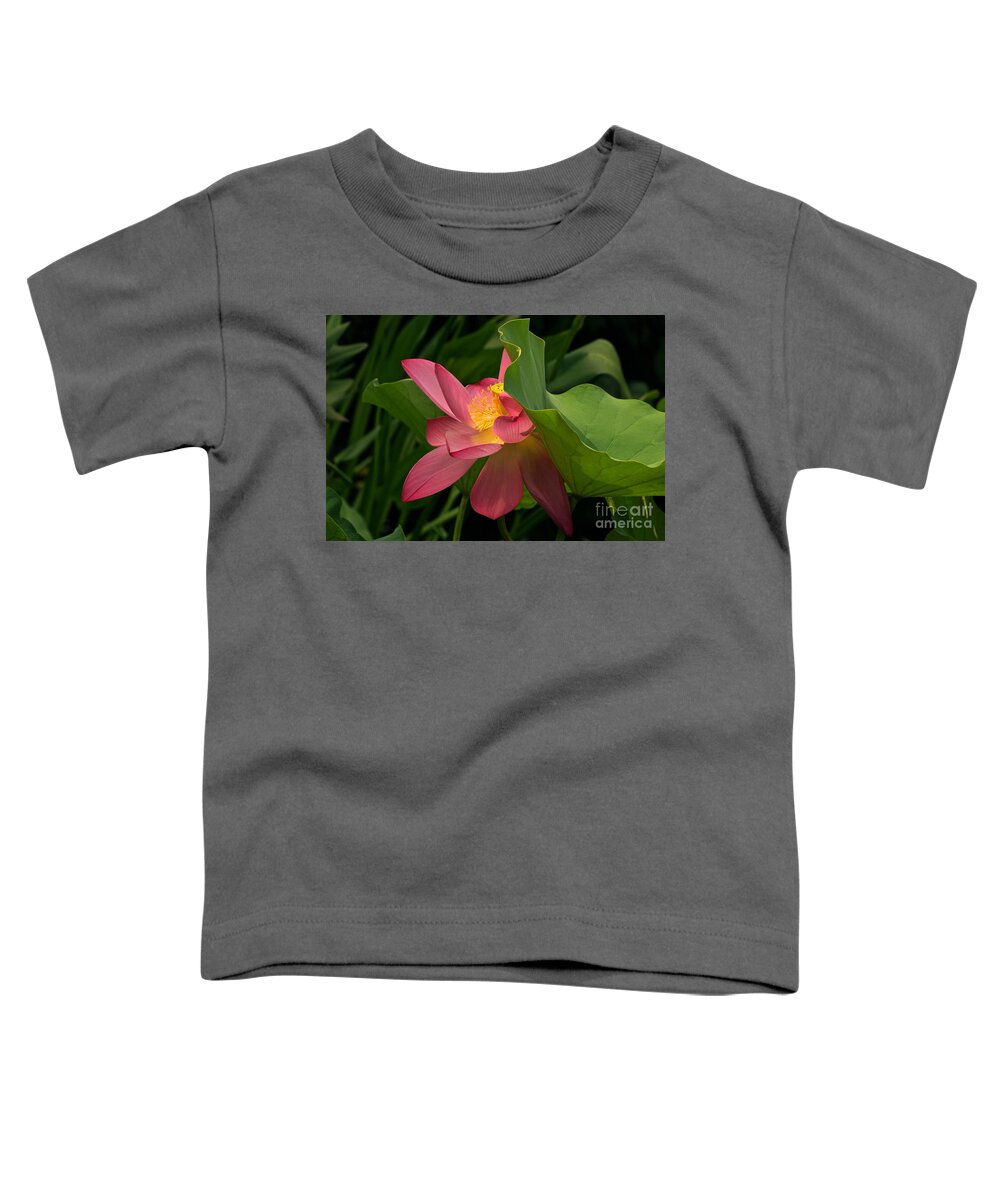 Lotus Blossom With Leaves Toddler T-Shirt featuring the photograph Peekaboo Lotus Blossom by Byron Varvarigos