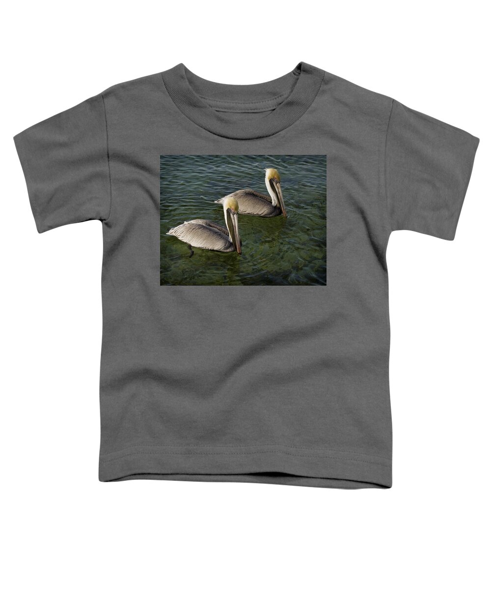 Pelican Toddler T-Shirt featuring the photograph Pelicans by Paul Schreiber