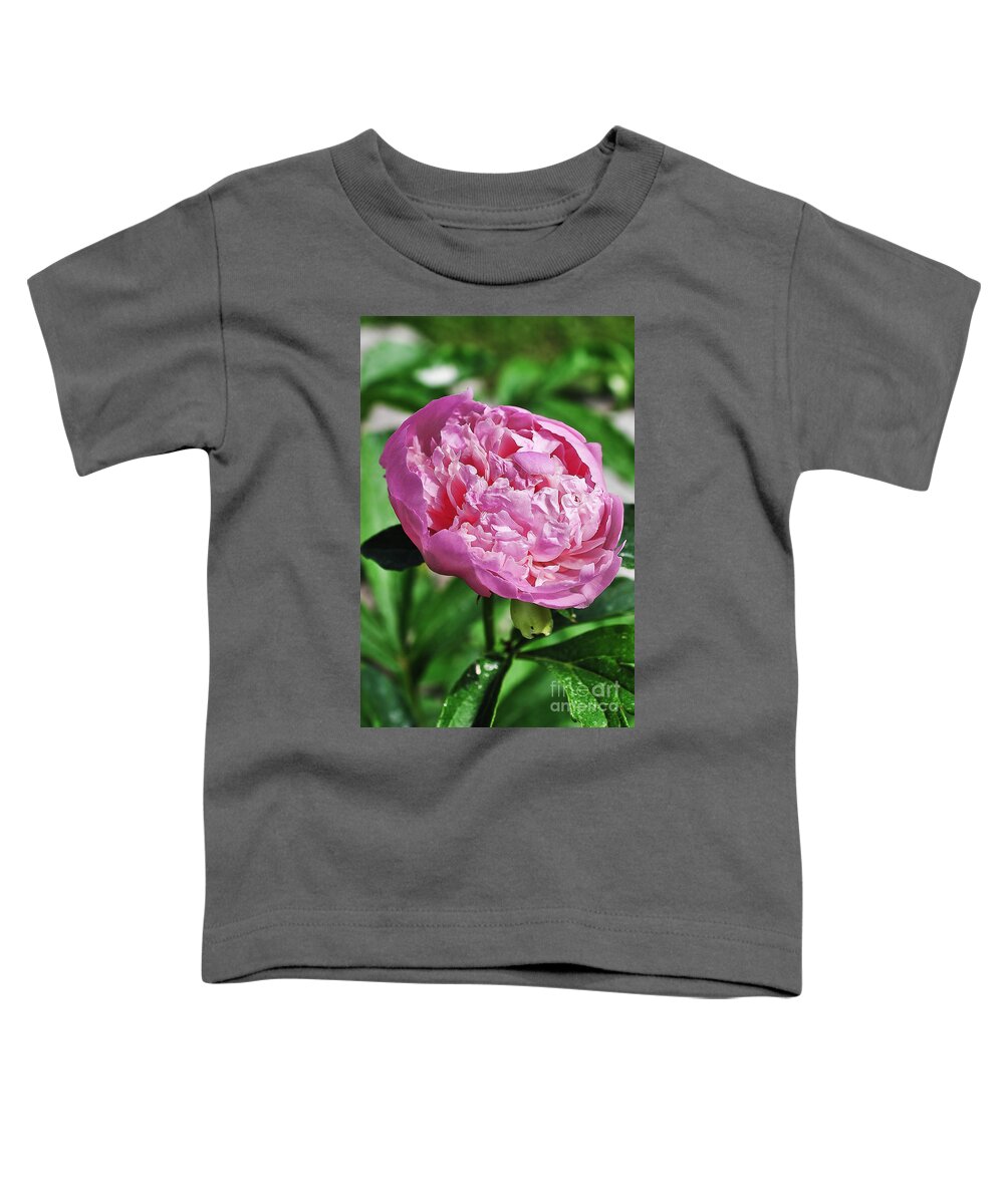 Peony Toddler T-Shirt featuring the photograph Peony by Gwen Gibson