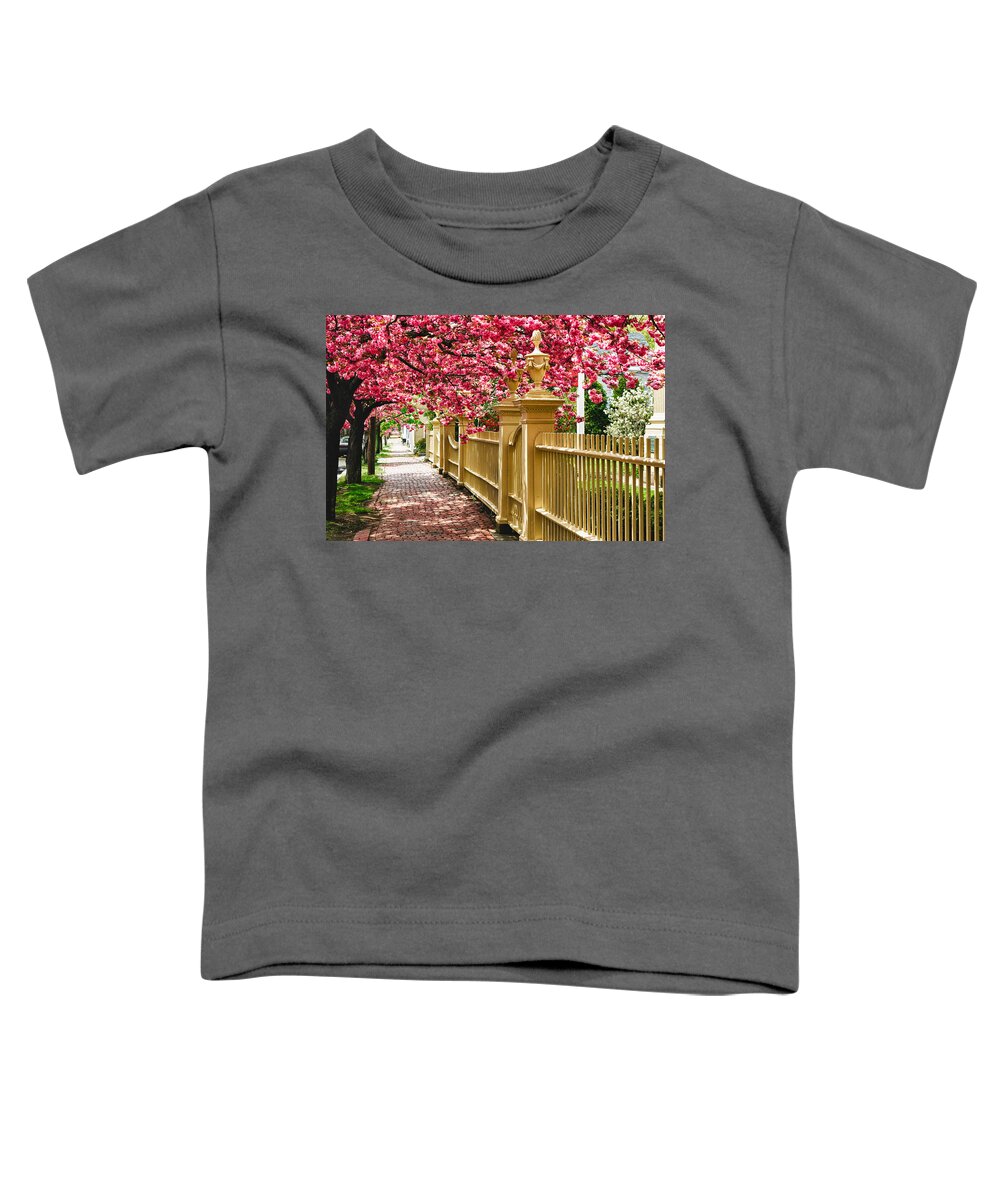 Salem Toddler T-Shirt featuring the photograph Perfect time for a spring walk by Jeff Folger