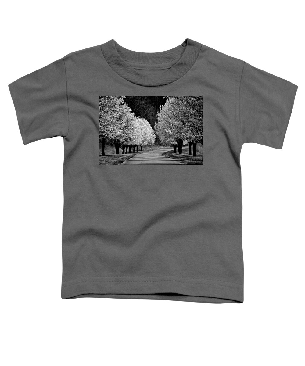 Dogwoods Toddler T-Shirt featuring the photograph Pigeon Mountain Dogwoods in Black and White by Tara Potts