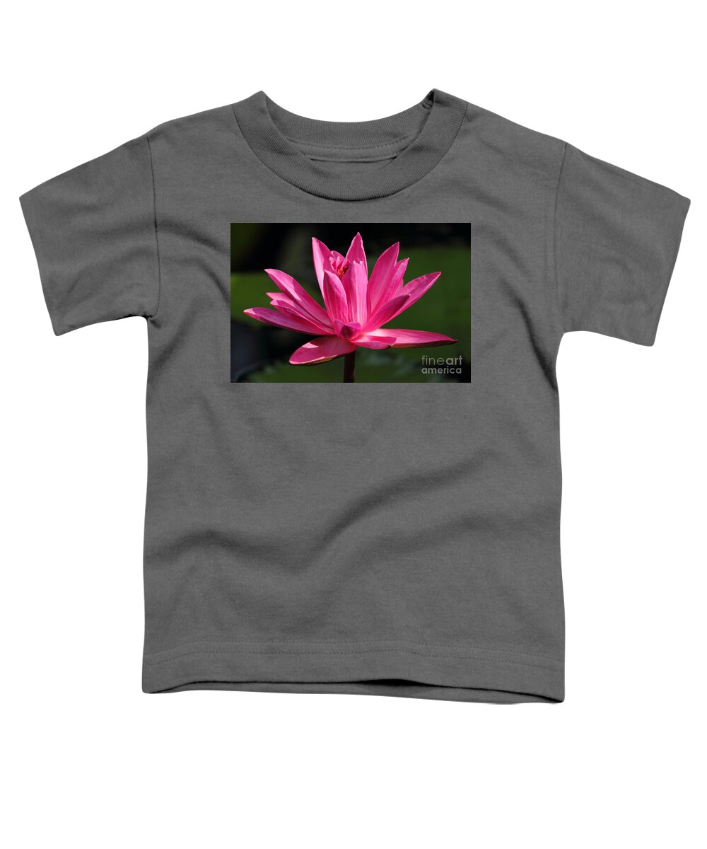 Water Lily Toddler T-Shirt featuring the photograph Pink Water Lily by Meg Rousher