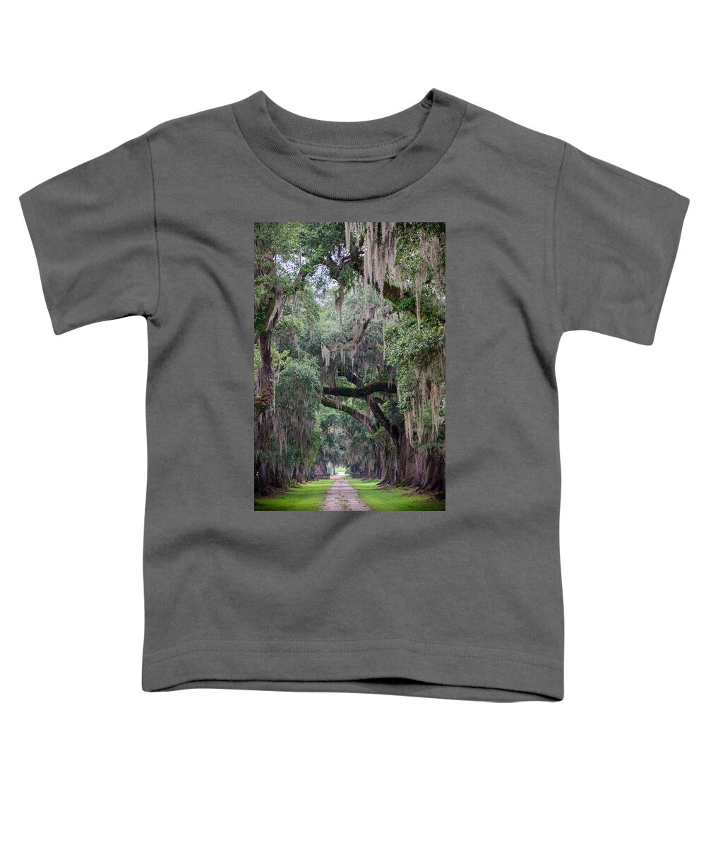 Edgard Toddler T-Shirt featuring the photograph Plantation Path by Jim Shackett