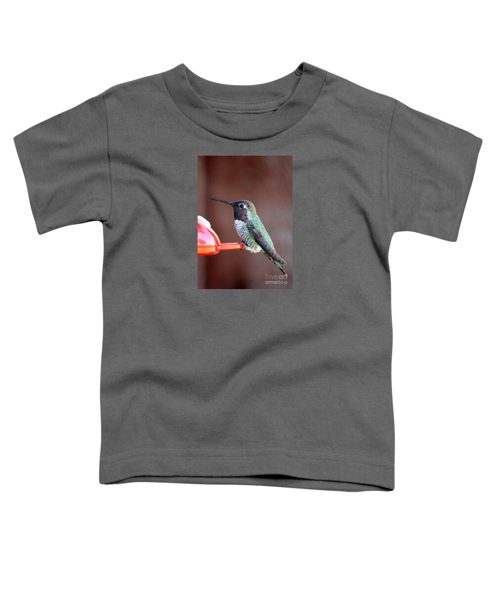 Hummingbird Toddler T-Shirt featuring the photograph Portrait of a Hummingbird by Carol Groenen