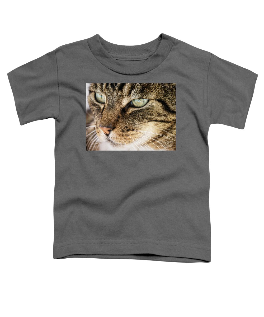 Feline Toddler T-Shirt featuring the photograph Portrait Of A Tabby Cat by Peggy Hughes