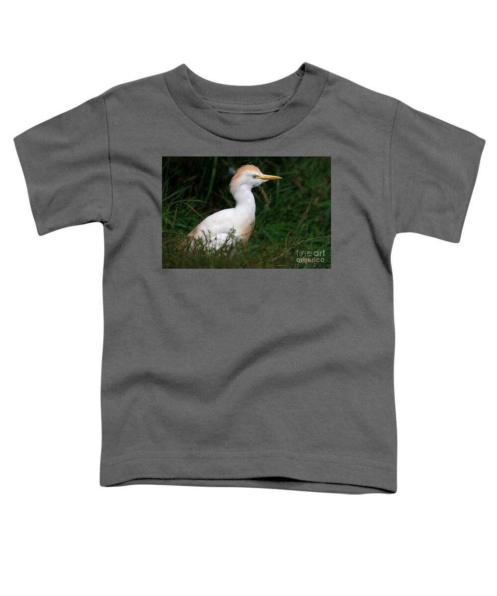 Portrait Toddler T-Shirt featuring the photograph Portrait of a white egret by Nick Biemans