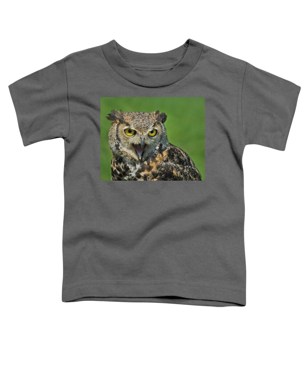 Great Horned Owl Toddler T-Shirt featuring the photograph Predator by Tony Beck