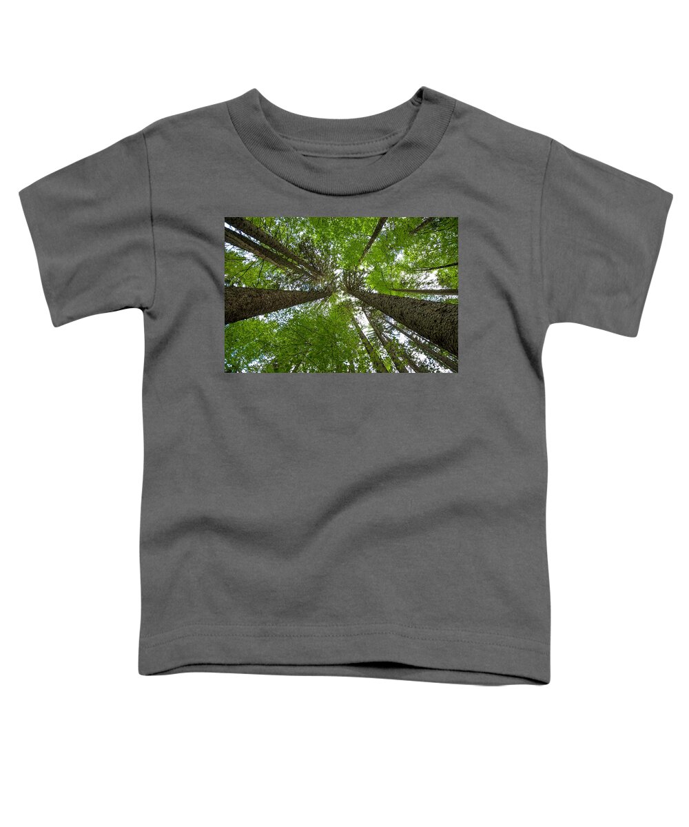 Forest Toddler T-Shirt featuring the photograph Primeval Forest In Austria by Andreas Berthold