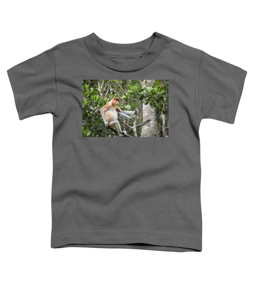 Suzi Eszterhas Toddler T-Shirt featuring the photograph Proboscis Monkey In Tree Sabah Borneo by Suzi Eszterhas