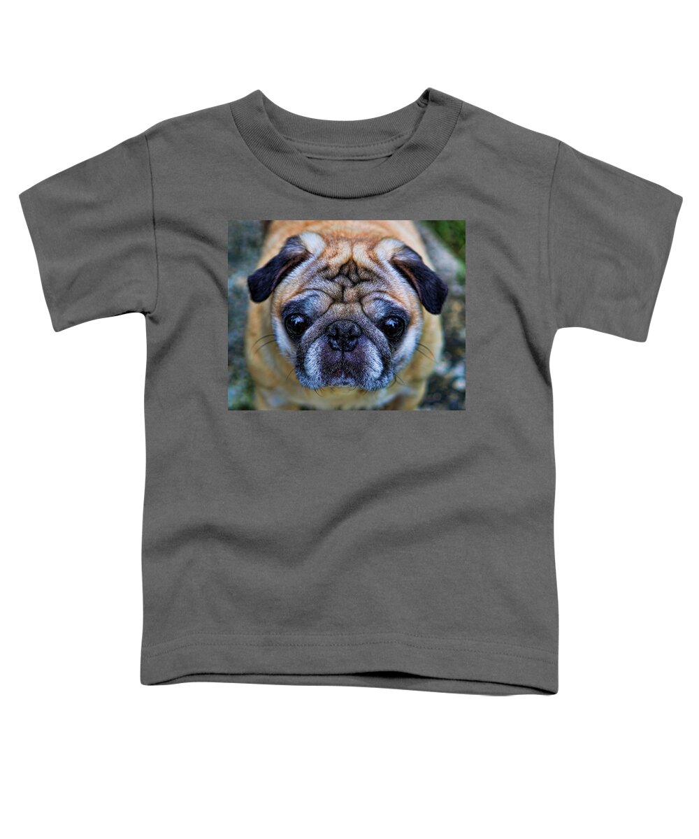 Interior Decoration Toddler T-Shirt featuring the photograph Pug - Man's Best Friend by Lee Dos Santos