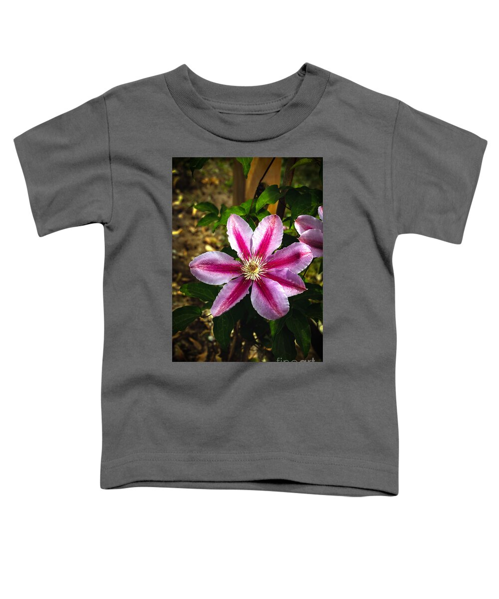 Clematis Toddler T-Shirt featuring the photograph Purple Clematis by Robert Bales