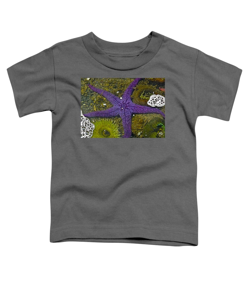 I Visited The Oregon Coast Aquarium And Photographed This. Later Toddler T-Shirt featuring the digital art Purple Sea Star and Friends by Gary Olsen-Hasek