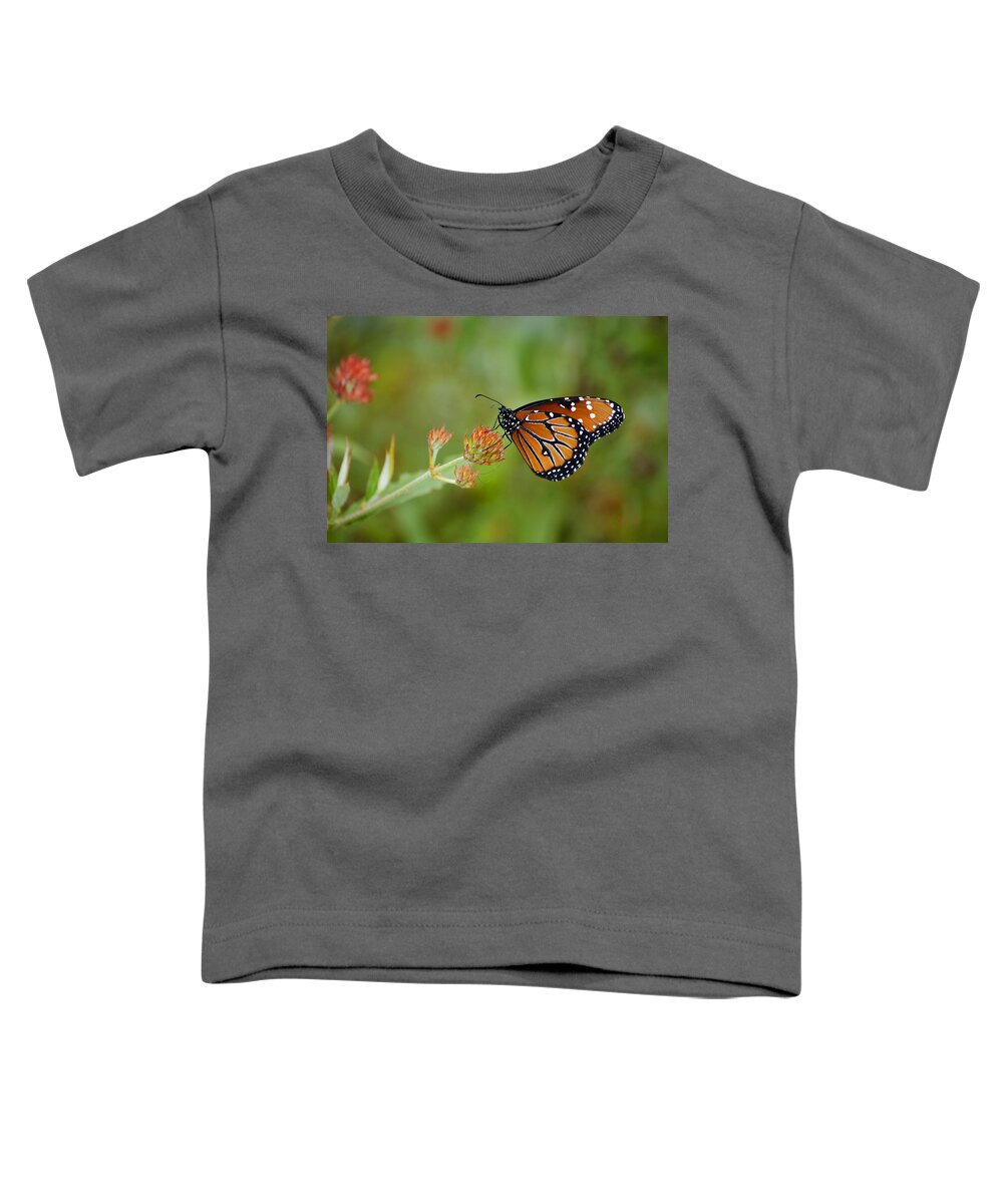 :penny Lisowski Toddler T-Shirt featuring the photograph Quick Pose by Penny Lisowski