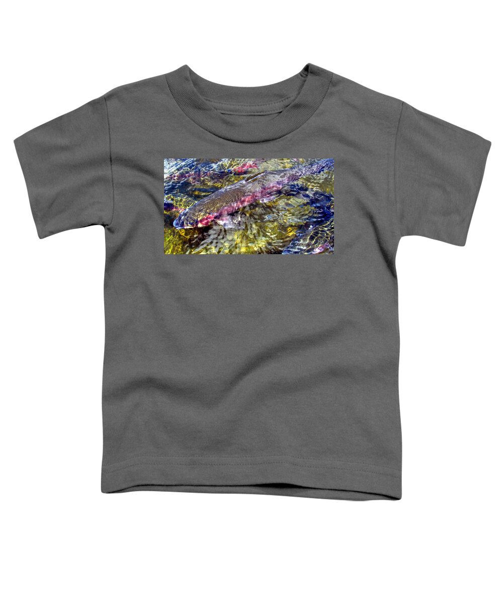 Rainbow Trout Toddler T-Shirt featuring the photograph Rainbow Trout by Carol Montoya