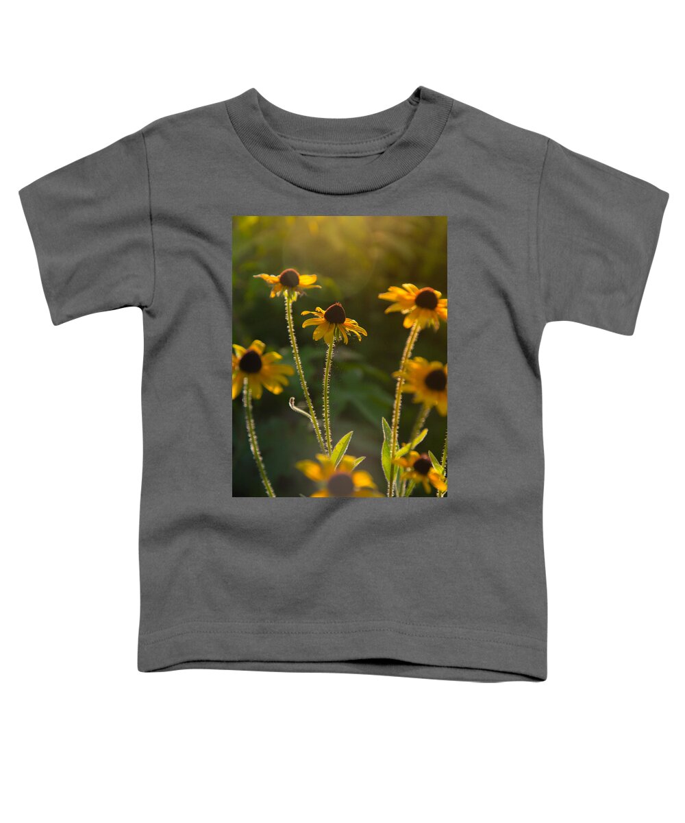 Flower Prints Toddler T-Shirt featuring the photograph Reach for the sun by Stacy Abbott
