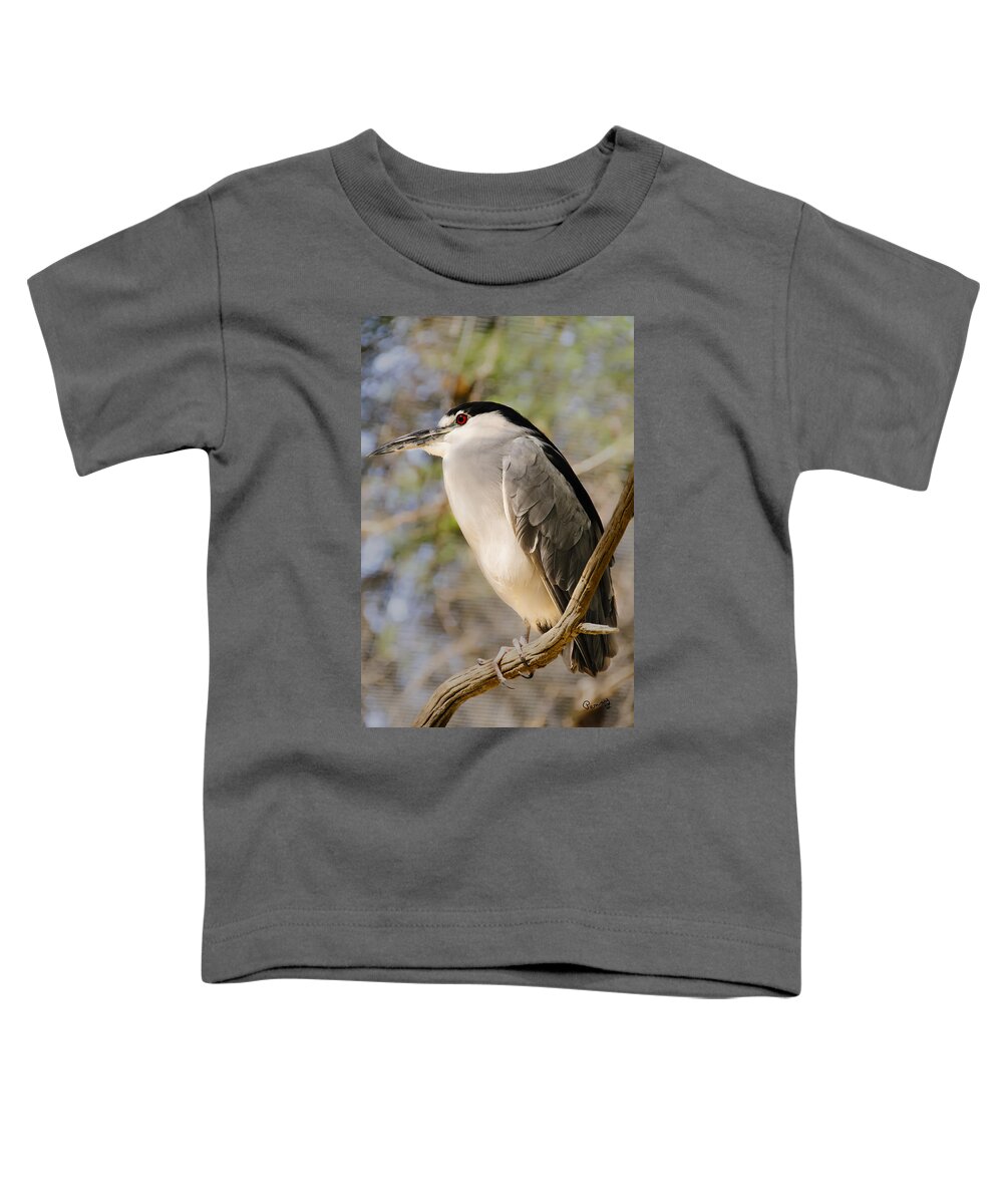 Pennysprints Toddler T-Shirt featuring the photograph Red Eye by Penny Lisowski