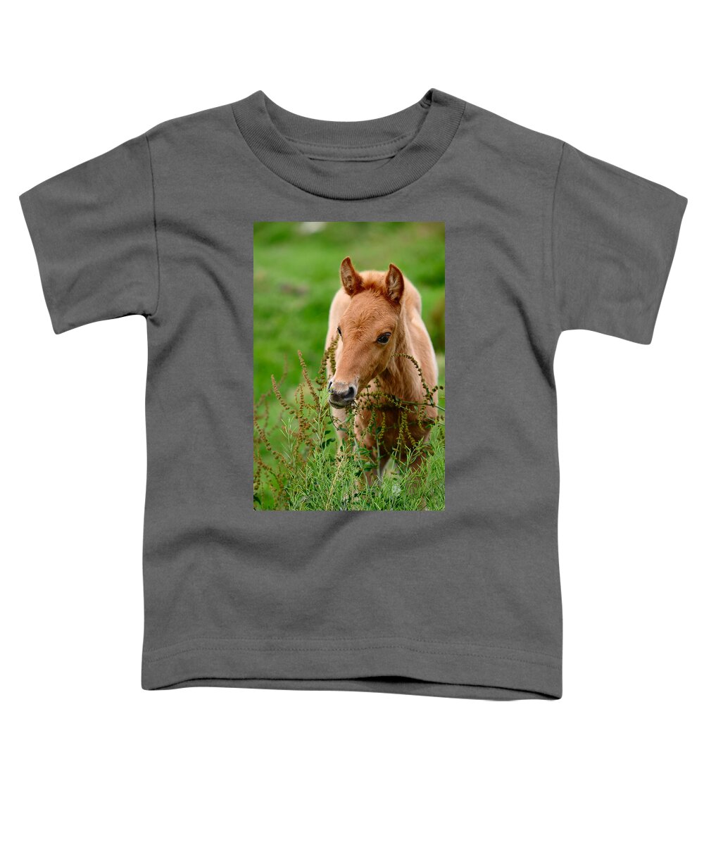 Horse Toddler T-Shirt featuring the photograph Red Foal. Beautiful Eyes by Jenny Rainbow