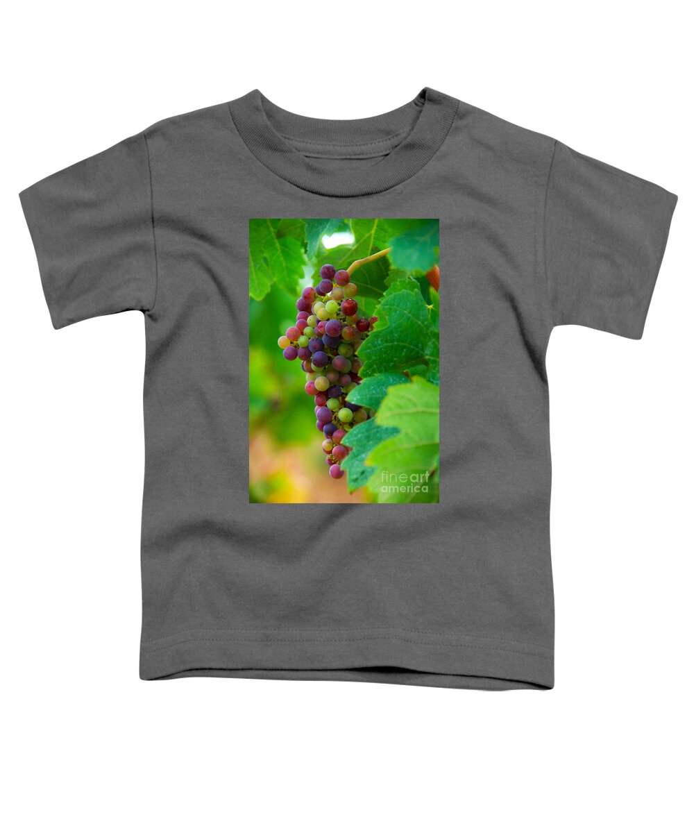 Bordeaux Toddler T-Shirt featuring the photograph Red Grapes by Hannes Cmarits