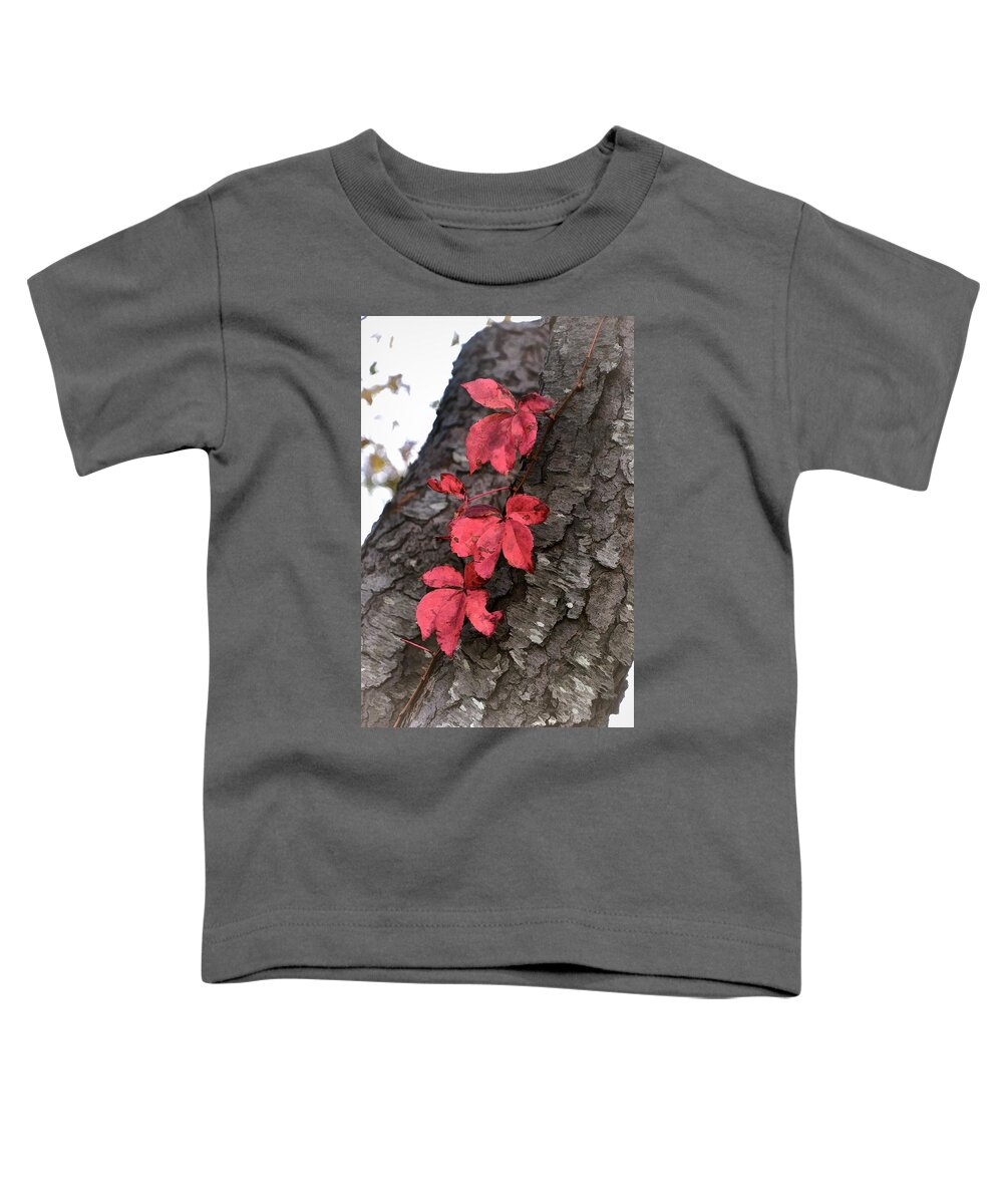 Leaves Toddler T-Shirt featuring the photograph Red Leaves on Bark by Phyllis Meinke