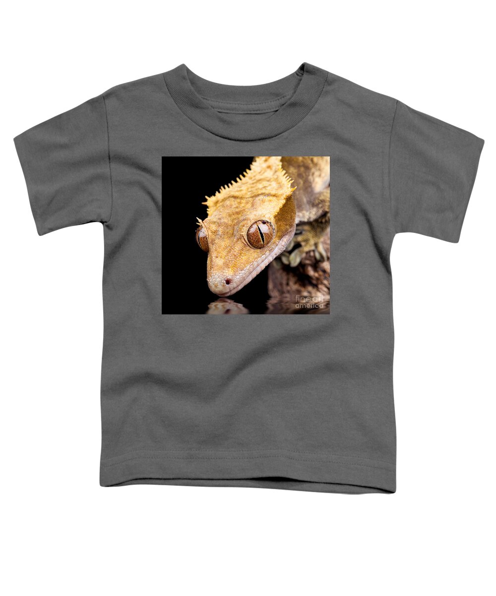 Abstract Toddler T-Shirt featuring the photograph Reptile near water close up by Simon Bratt