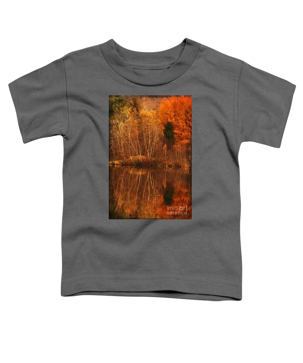 Autumn Toddler T-Shirt featuring the photograph Restes d'Automne by Aimelle Ml
