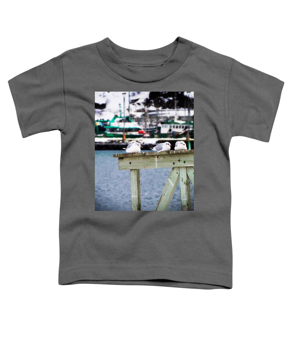 Pier 17 Toddler T-Shirt featuring the photograph Resting At Pier 17 by Zinvolle Art