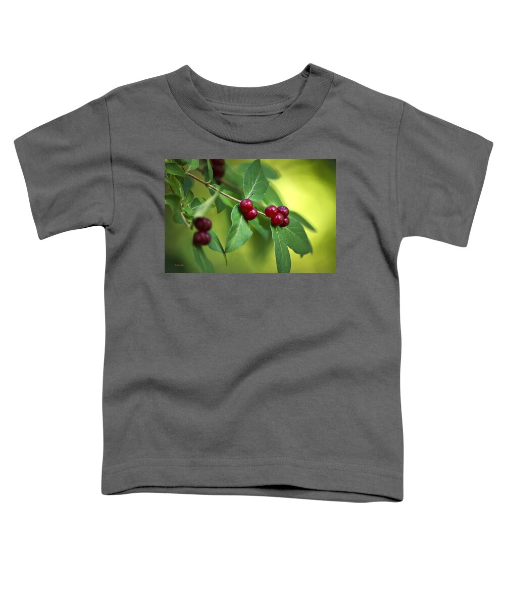 Red Berries Toddler T-Shirt featuring the photograph Red Honeysuckle Berries by Christina Rollo