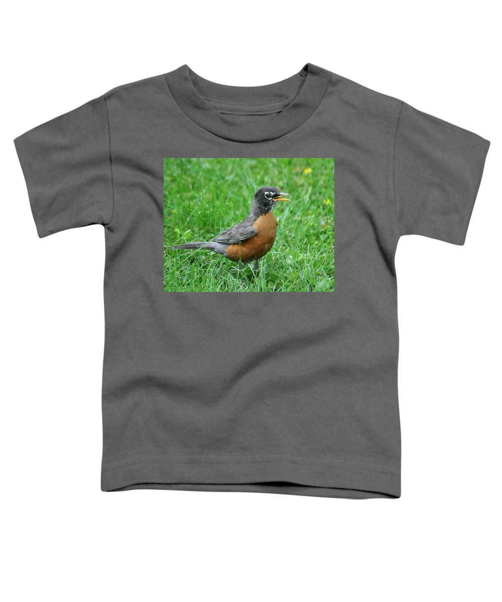 Robin Toddler T-Shirt featuring the photograph Robin 334 by Gene Tatroe