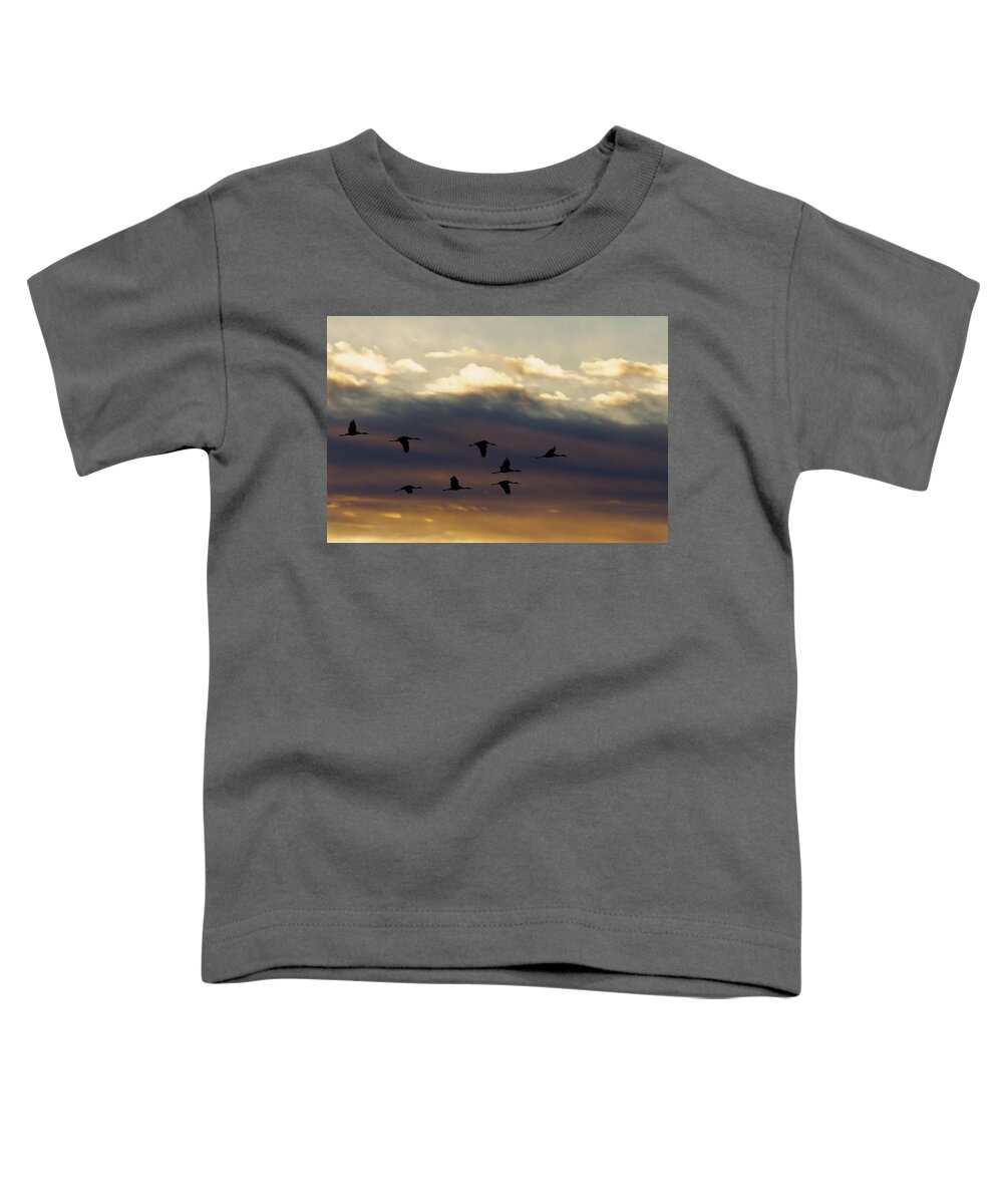 Animals Toddler T-Shirt featuring the photograph Roosting Time by Jack R Perry