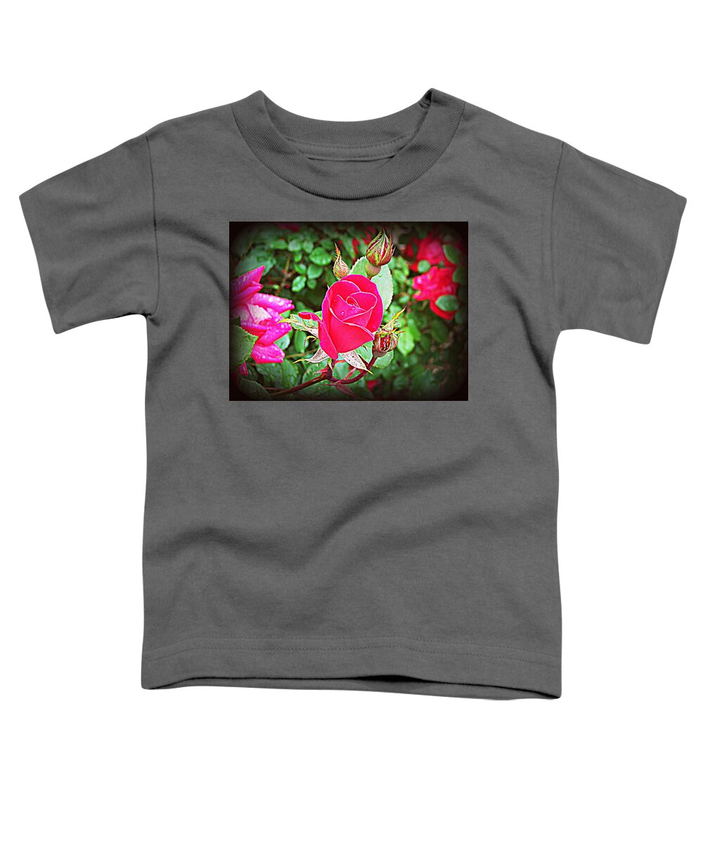 Rose Toddler T-Shirt featuring the photograph Rose Garden Centerpiece 2 by Pamela Hyde Wilson