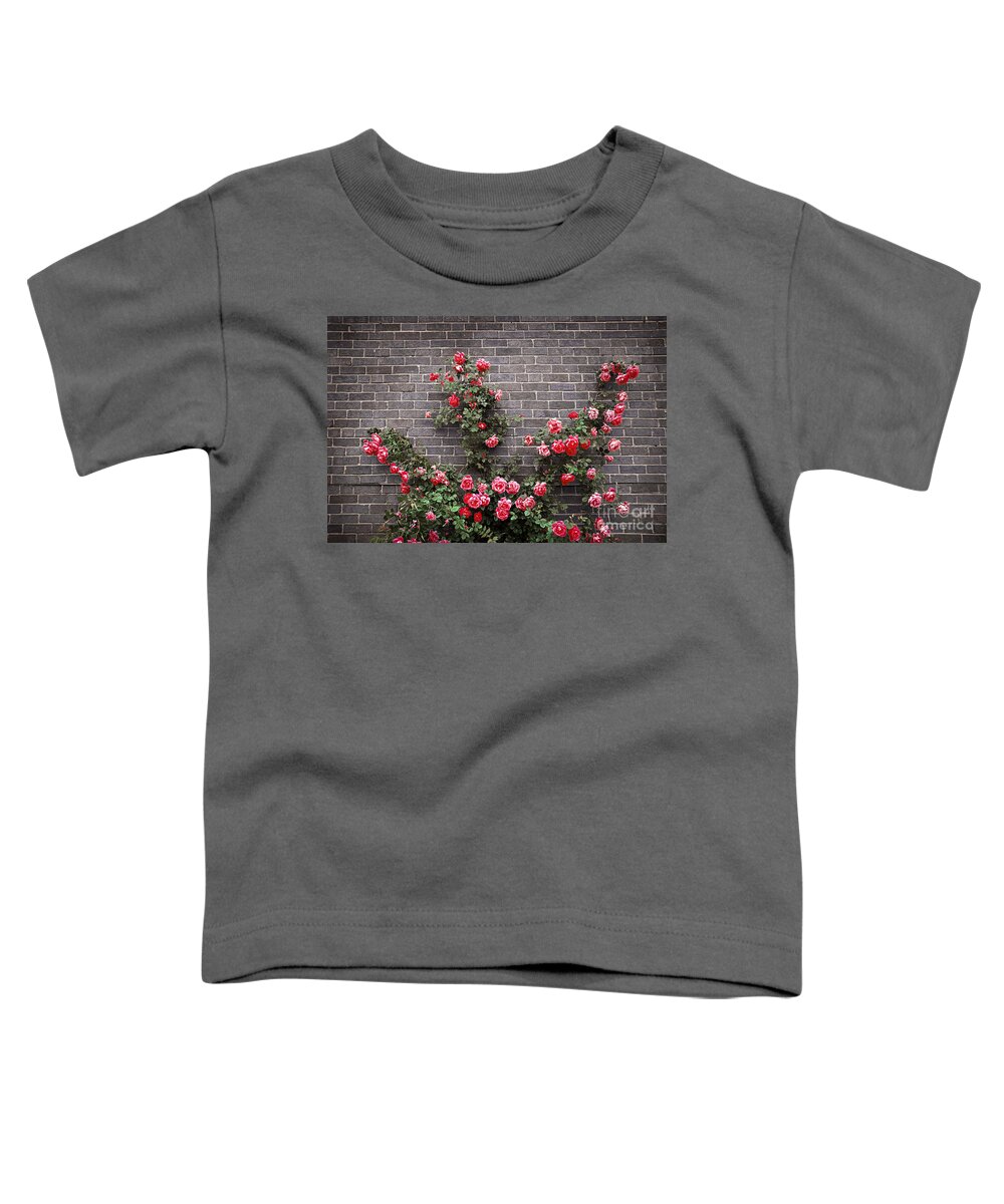 Rose Toddler T-Shirt featuring the photograph Roses on brick wall 1 by Elena Elisseeva