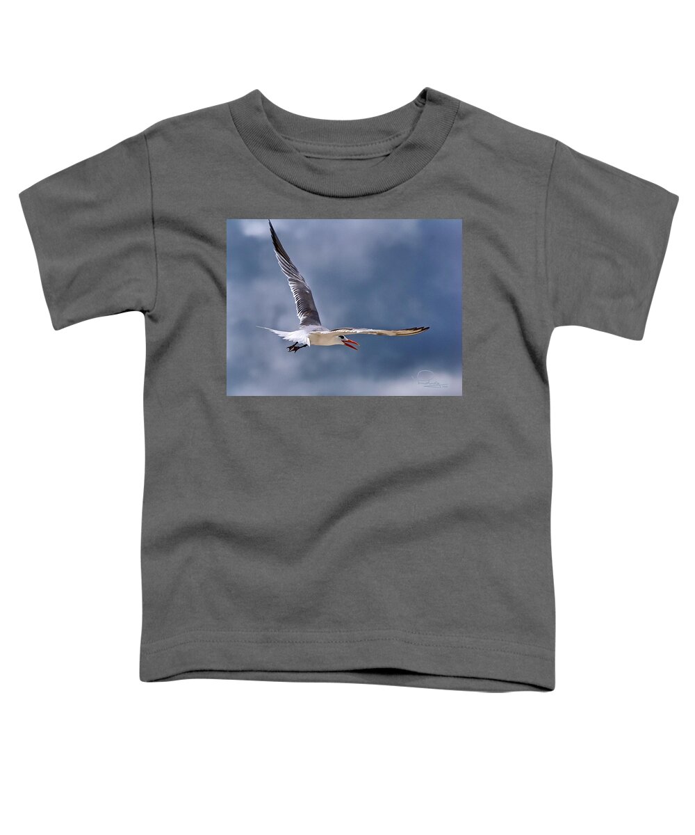 Tern Toddler T-Shirt featuring the photograph Royal Tern 1 by Ludwig Keck