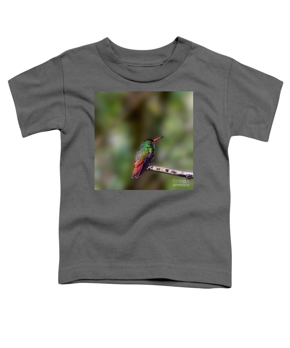 Rufous Hummingbird Toddler T-Shirt featuring the photograph Rufous-tailed Hummingbird by Heiko Koehrer-Wagner
